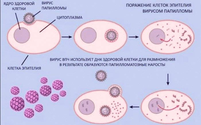 Ккакому врачу обратится при боли мышцы возле позвоночника. Боль в пояснице после сна- почему болит, симптомы и признаки, когда. Боль в спине | К какому врачу обращаться при боли в пояснице? Боли в спине - к какому врачу обратиться?